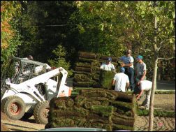 Men laying sod