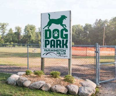 Dog Park