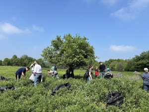 Join the Cleanup: Volunteers Needed for Rouge River Day on May 17 at the Farmington Hills Nature Center