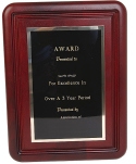 Award Plaque